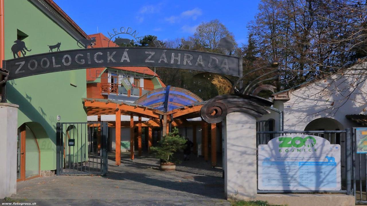 Penzion Druzba Bojnice Dış mekan fotoğraf